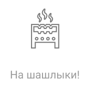 Радио Рекорд На шашлыки!